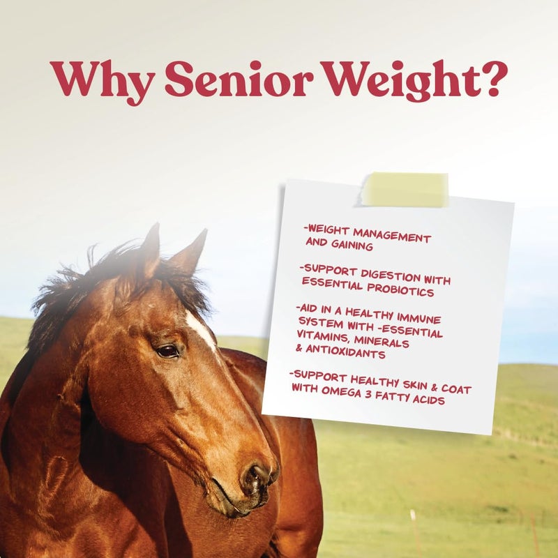 Manna Pro Weight Accelerator for Senior Horses - Weight Gain and Muscle Support Supplement with Omega 3 Fatty Acids and Flaxseed - High-Calorie Feed Topper for Horses - 8 lb Bag - Image 5